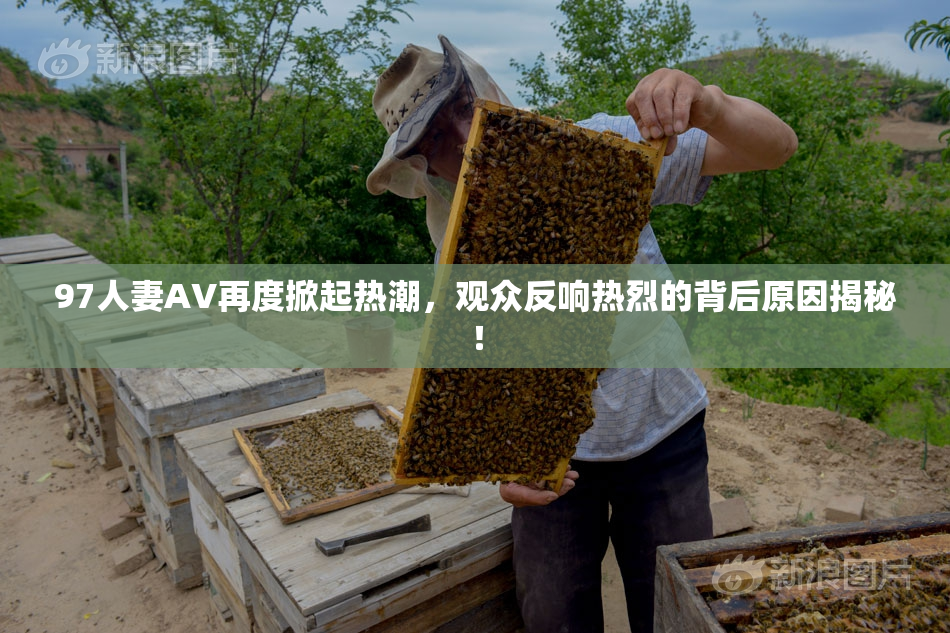 97人妻AV再度掀起热潮，观众反响热烈的背后原因揭秘！