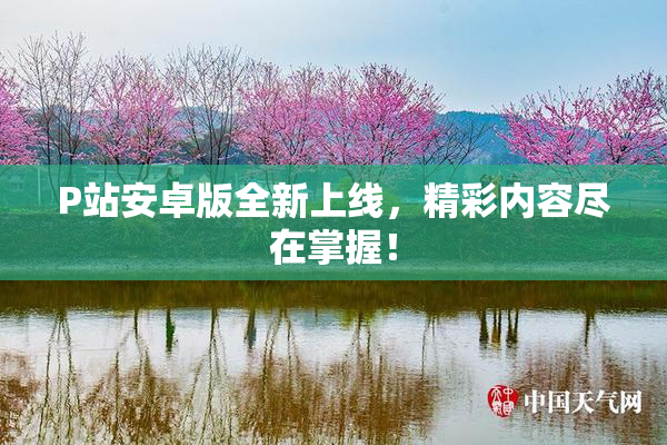 P站安卓版全新上线，精彩内容尽在掌握！