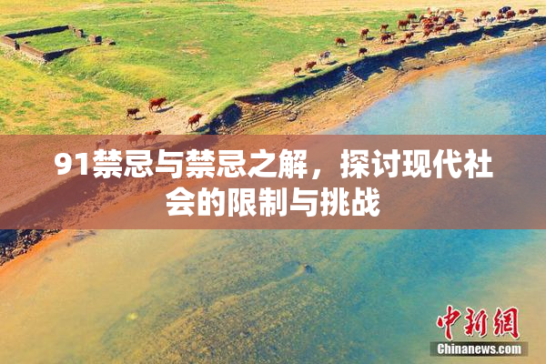 91禁忌与禁忌之解，探讨现代社会的限制与挑战