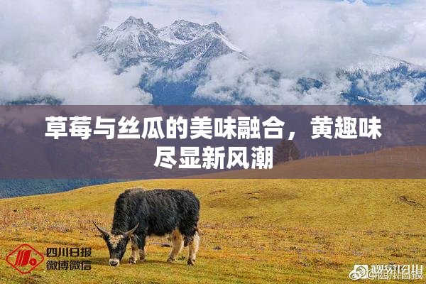 草莓与丝瓜的美味融合，黄趣味尽显新风潮