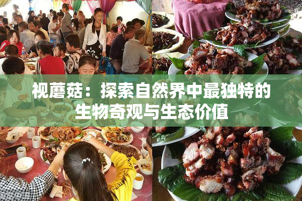 视蘑菇：探索自然界中最独特的生物奇观与生态价值