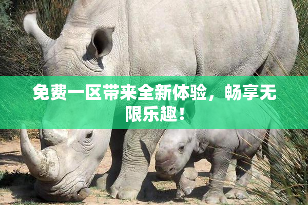 免费一区带来全新体验，畅享无限乐趣！