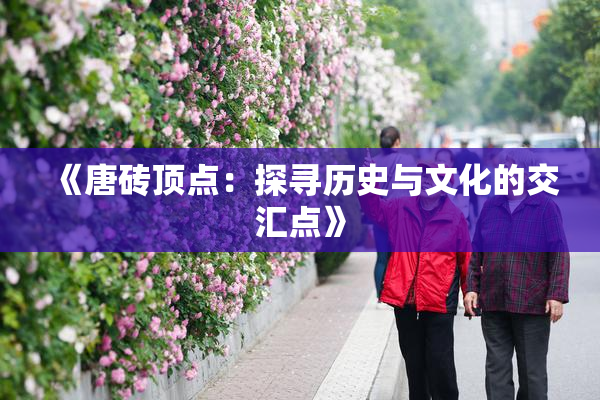 《唐砖顶点：探寻历史与文化的交汇点》