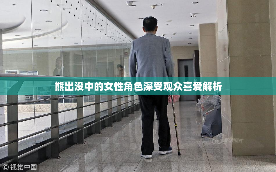 熊出没中的女性角色深受观众喜爱解析