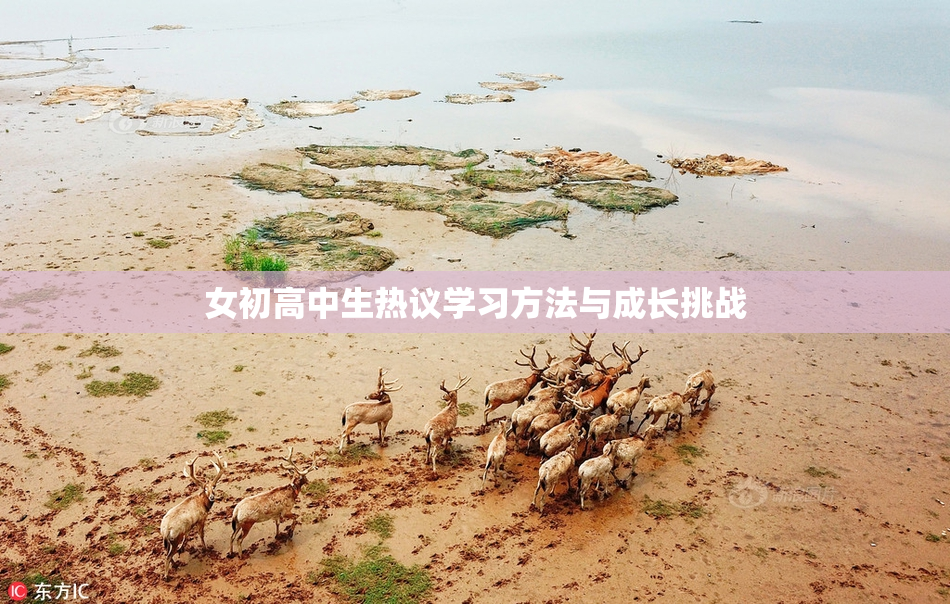 女初高中生热议学习方法与成长挑战