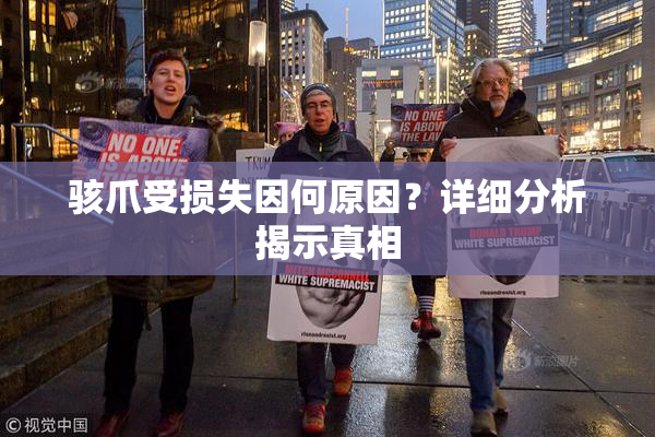骇爪受损失因何原因？详细分析揭示真相