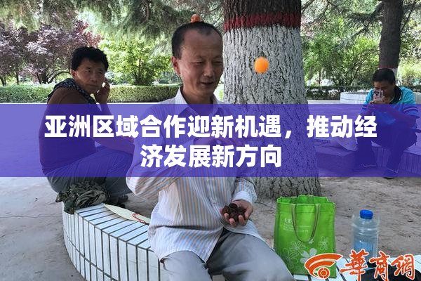 亚洲区域合作迎新机遇，推动经济发展新方向