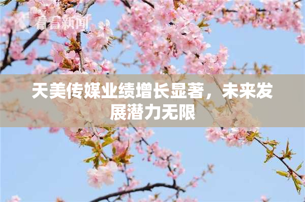 天美传媒业绩增长显著，未来发展潜力无限
