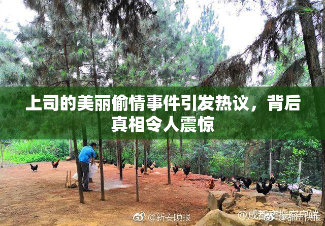 上司的美丽偷情事件引发热议，背后真相令人震惊