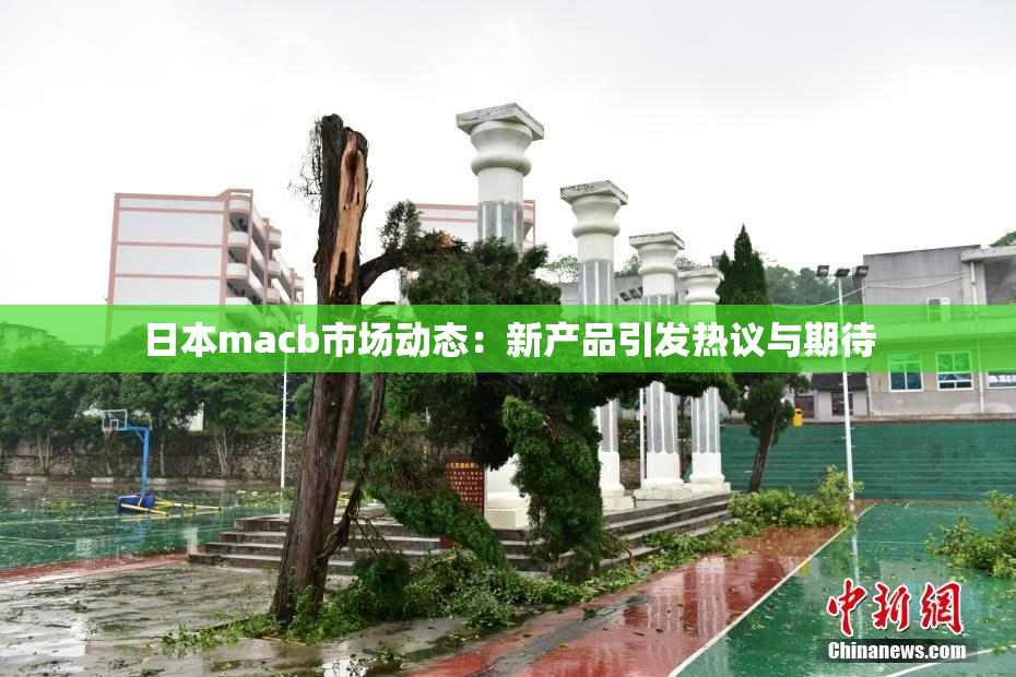日本macb市场动态：新产品引发热议与期待