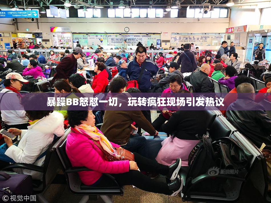 暴躁BB怒怼一切，玩转疯狂现场引发热议