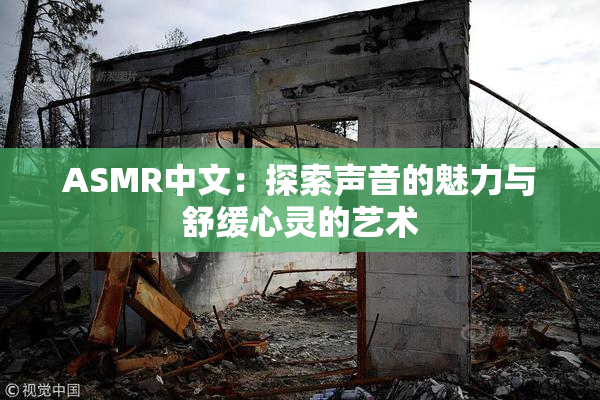 ASMR中文：探索声音的魅力与舒缓心灵的艺术