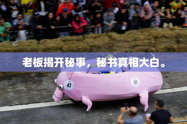 老板揭开秘事，秘书真相大白。