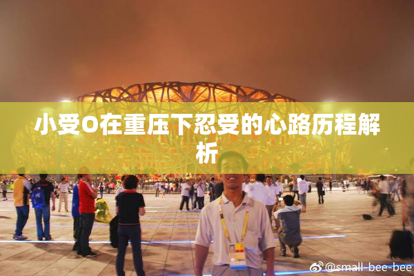 小受O在重压下忍受的心路历程解析