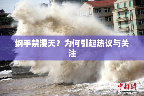 纲手禁漫天？为何引起热议与关注
