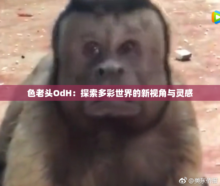 色老头OdH：探索多彩世界的新视角与灵感