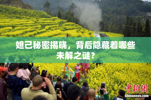 妲己秘密揭晓，背后隐藏着哪些未解之谜？