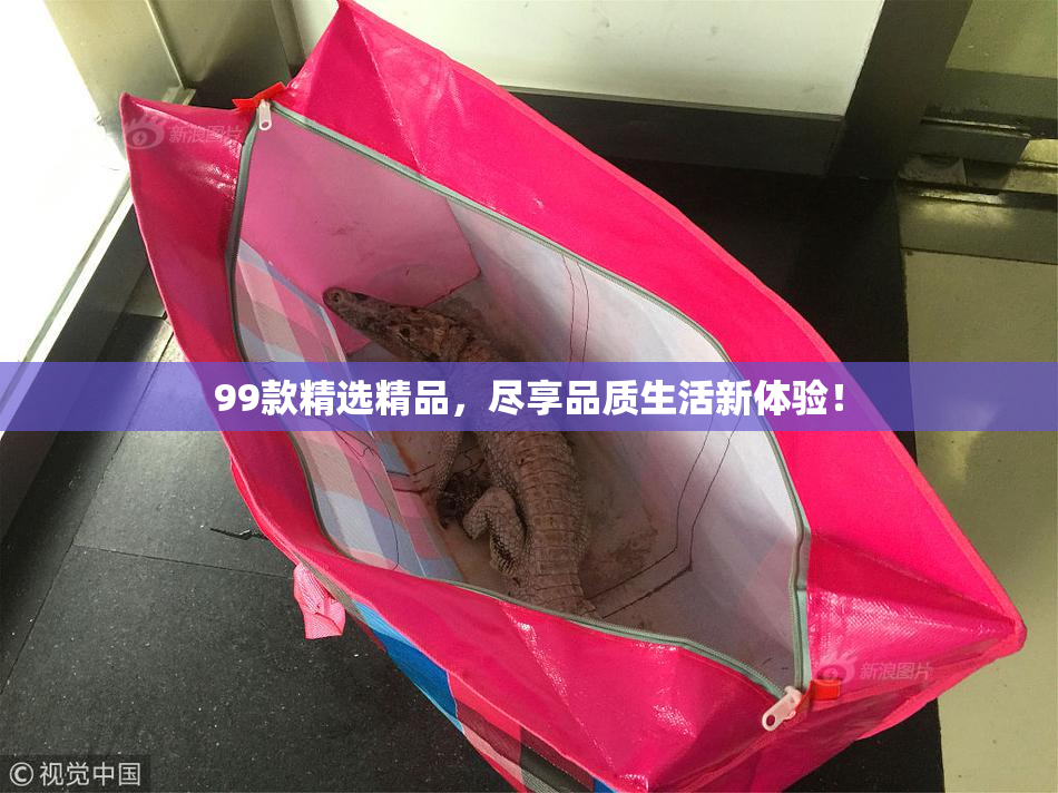 99款精选精品，尽享品质生活新体验！