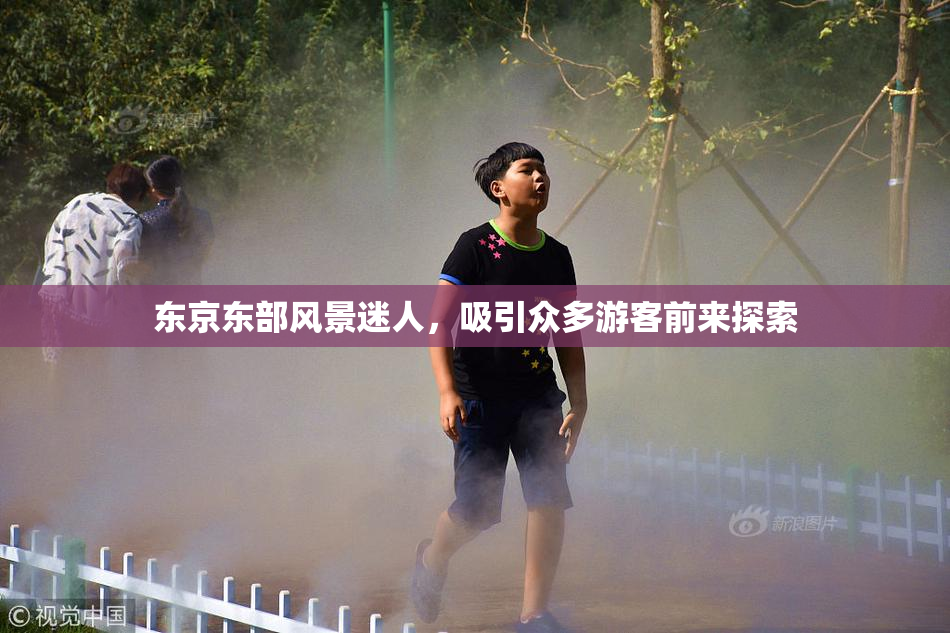 东京东部风景迷人，吸引众多游客前来探索