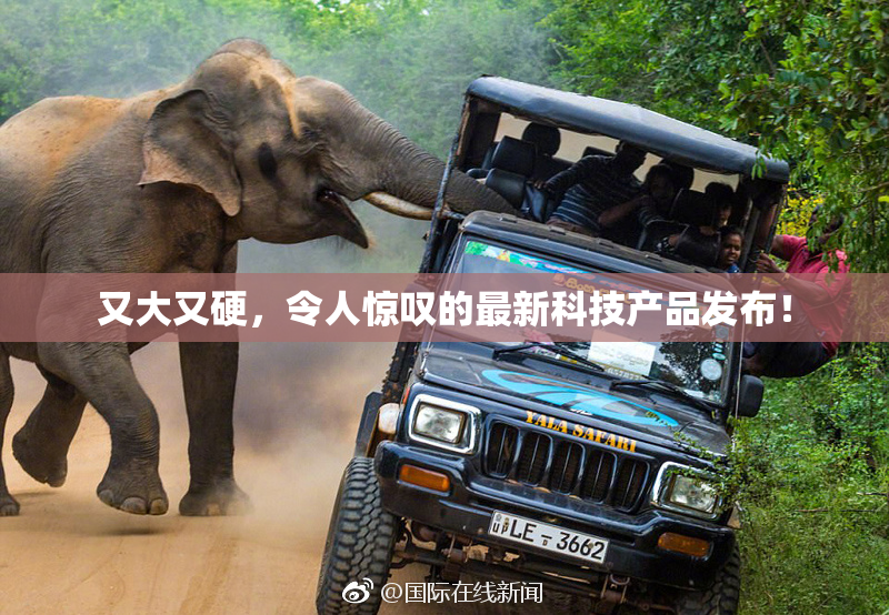 又大又硬，令人惊叹的最新科技产品发布！