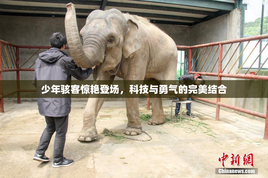 少年骇客惊艳登场，科技与勇气的完美结合
