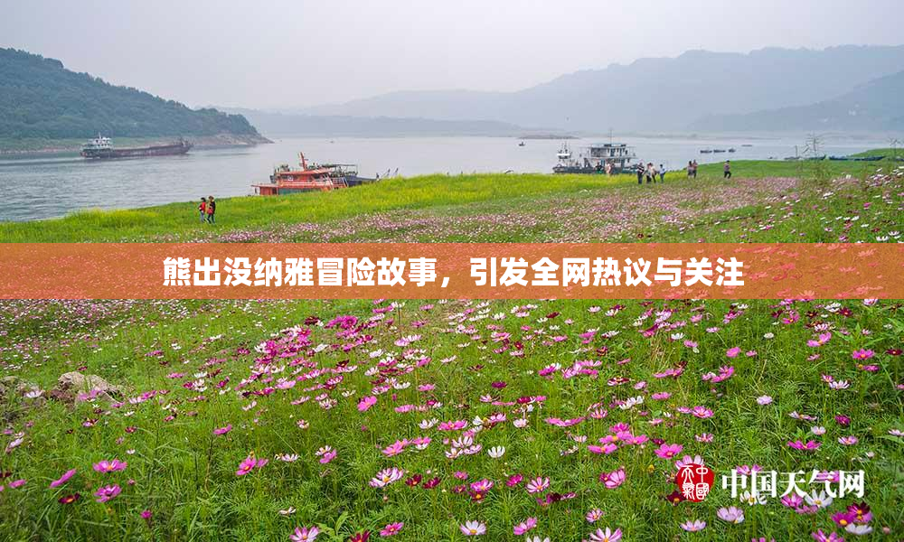 熊出没纳雅冒险故事，引发全网热议与关注