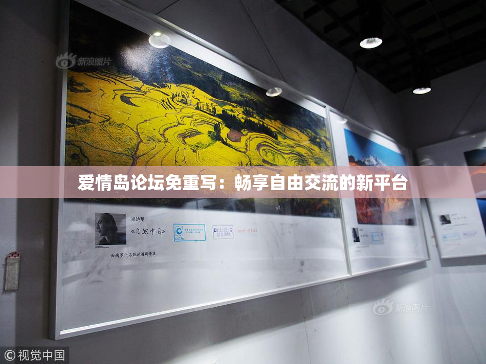 爱情岛论坛免重写：畅享自由交流的新平台