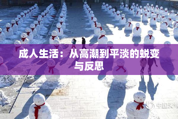 成人生活：从高潮到平淡的蜕变与反思