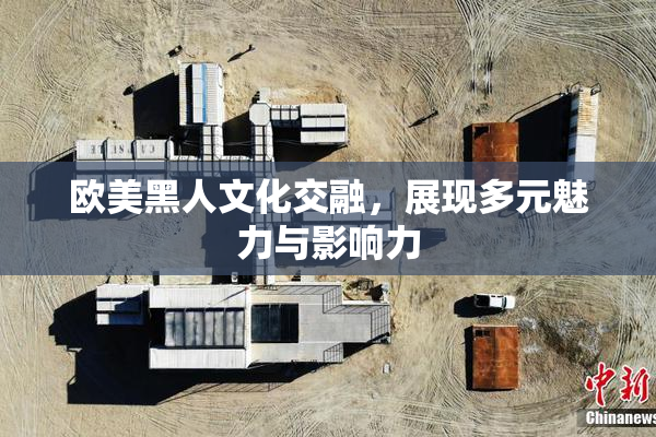 欧美黑人文化交融，展现多元魅力与影响力