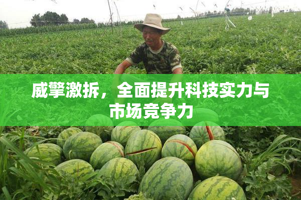 威擎激拆，全面提升科技实力与市场竞争力