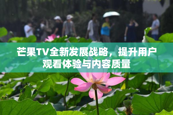 芒果TV全新发展战略，提升用户观看体验与内容质量