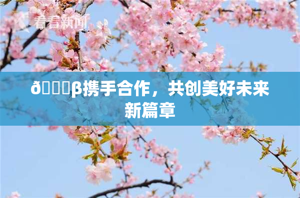 👙β携手合作，共创美好未来新篇章