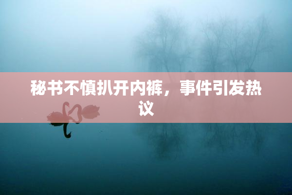 秘书不慎扒开内裤，事件引发热议