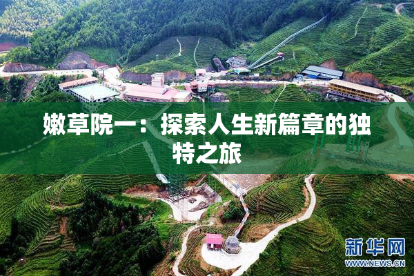 嫩草院一：探索人生新篇章的独特之旅