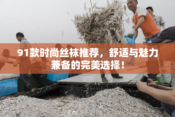 91款时尚丝袜推荐，舒适与魅力兼备的完美选择！