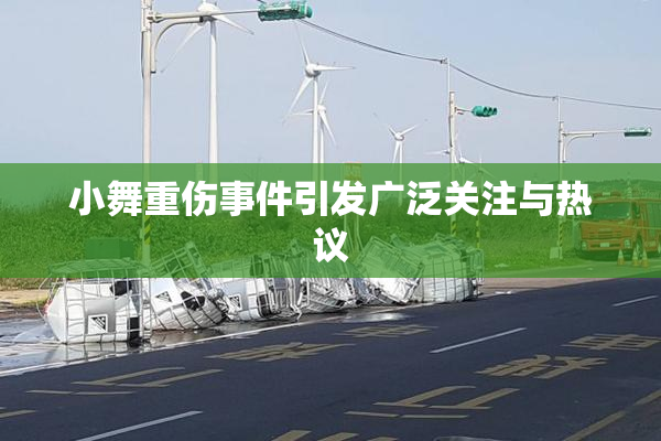 小舞重伤事件引发广泛关注与热议