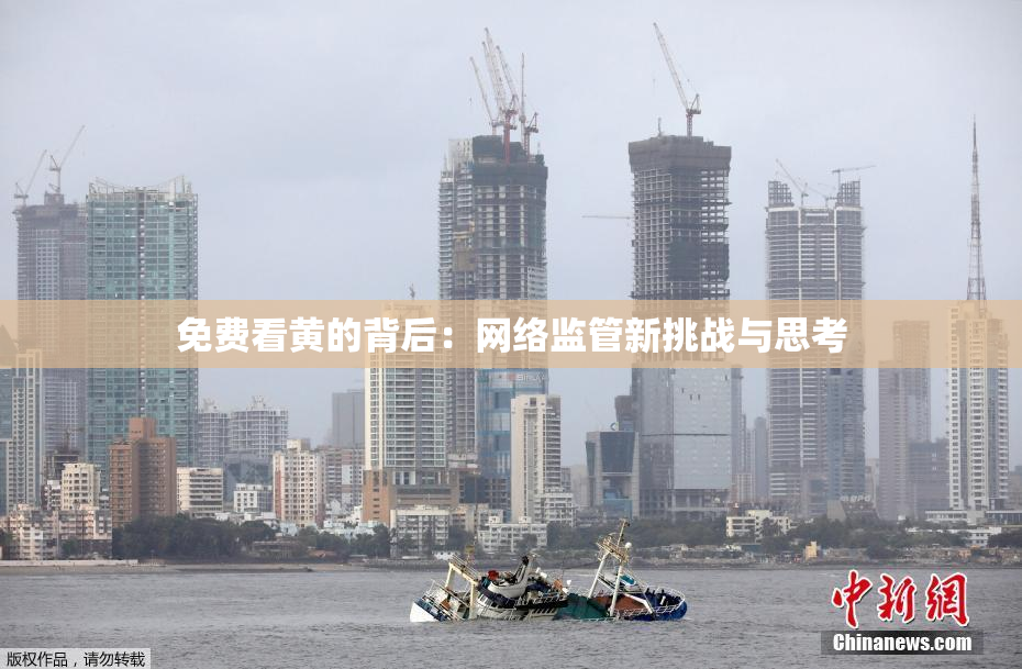 免费看黄的背后：网络监管新挑战与思考