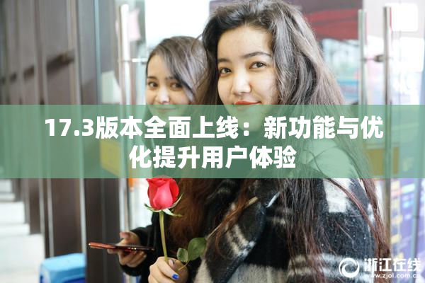 17.3版本全面上线：新功能与优化提升用户体验