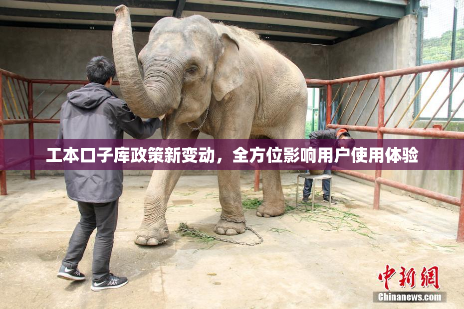 工本口子库政策新变动，全方位影响用户使用体验