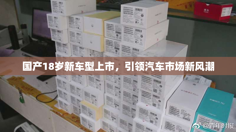国产18岁新车型上市，引领汽车市场新风潮