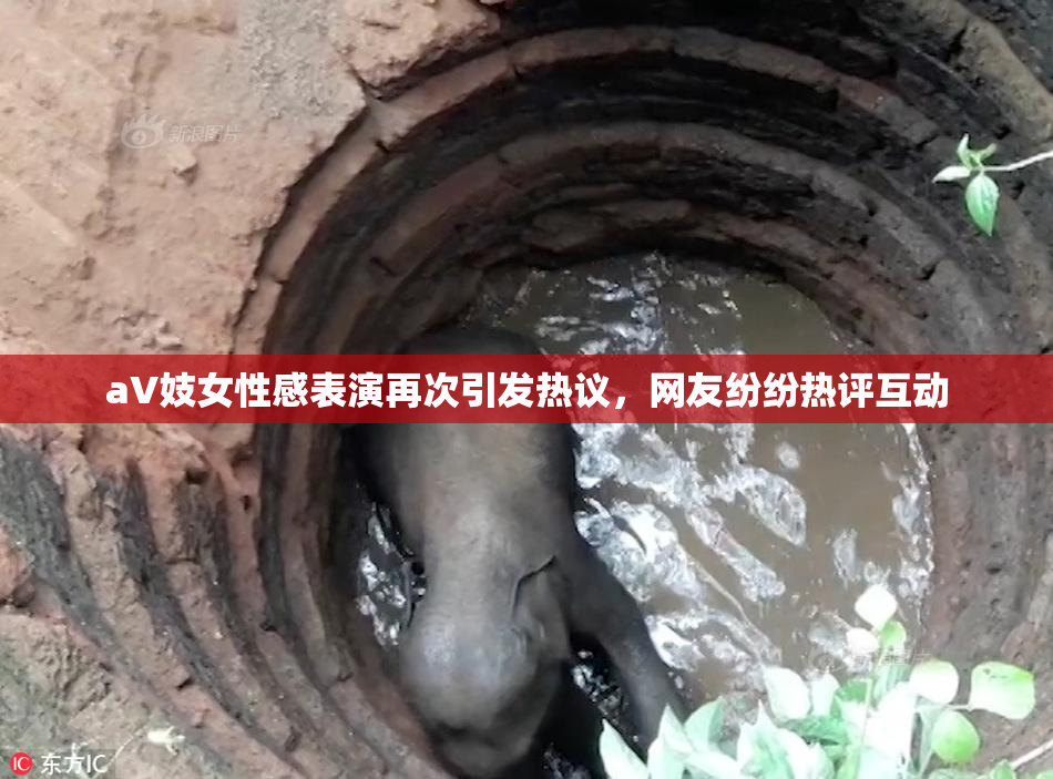 aV妓女性感表演再次引发热议，网友纷纷热评互动