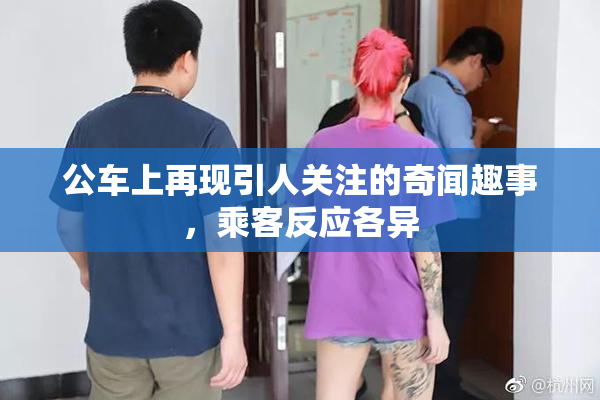 公车上再现引人关注的奇闻趣事，乘客反应各异