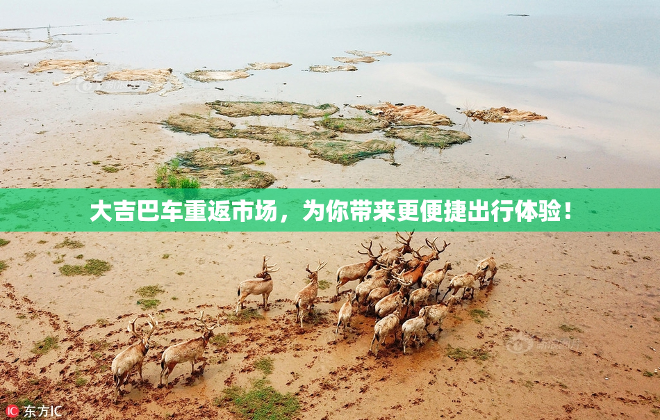 大吉巴车重返市场，为你带来更便捷出行体验！
