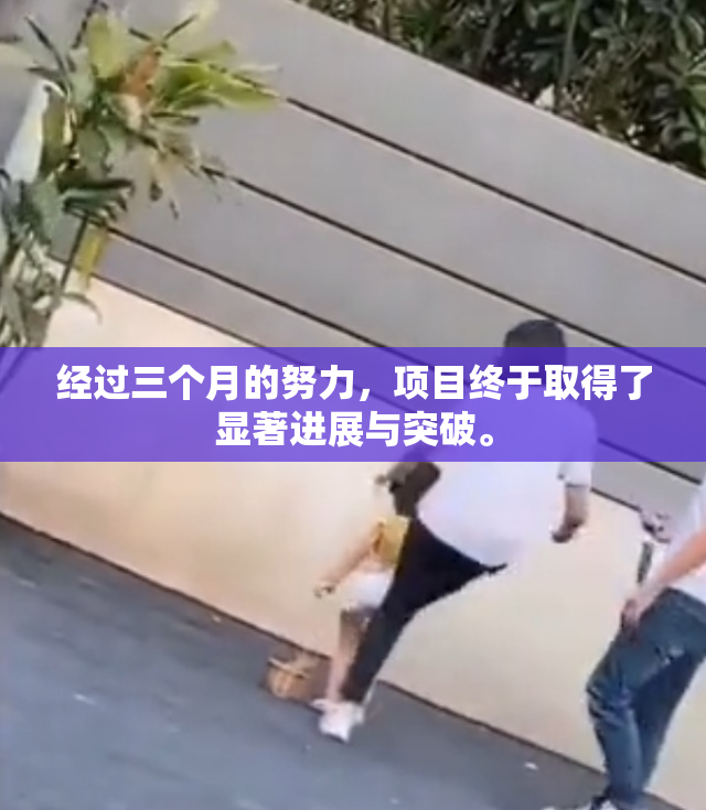 经过三个月的努力，项目终于取得了显著进展与突破。