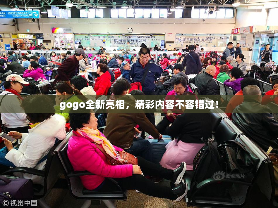gogo全新亮相，精彩内容不容错过！