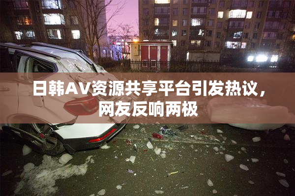 日韩AV资源共享平台引发热议，网友反响两极