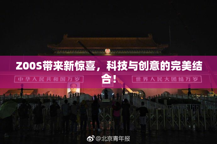 Z00S带来新惊喜，科技与创意的完美结合！