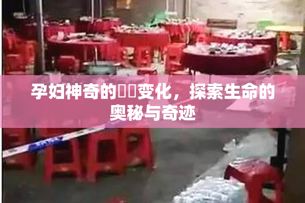 孕妇神奇的乂乄变化，探索生命的奥秘与奇迹