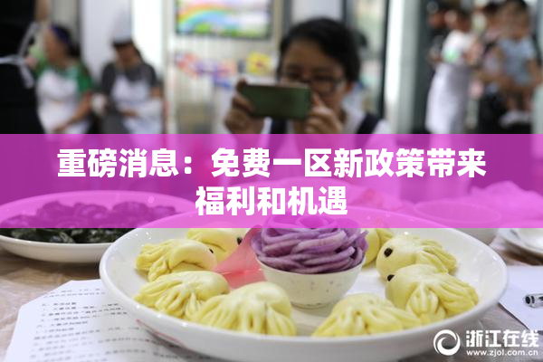 重磅消息：免费一区新政策带来福利和机遇