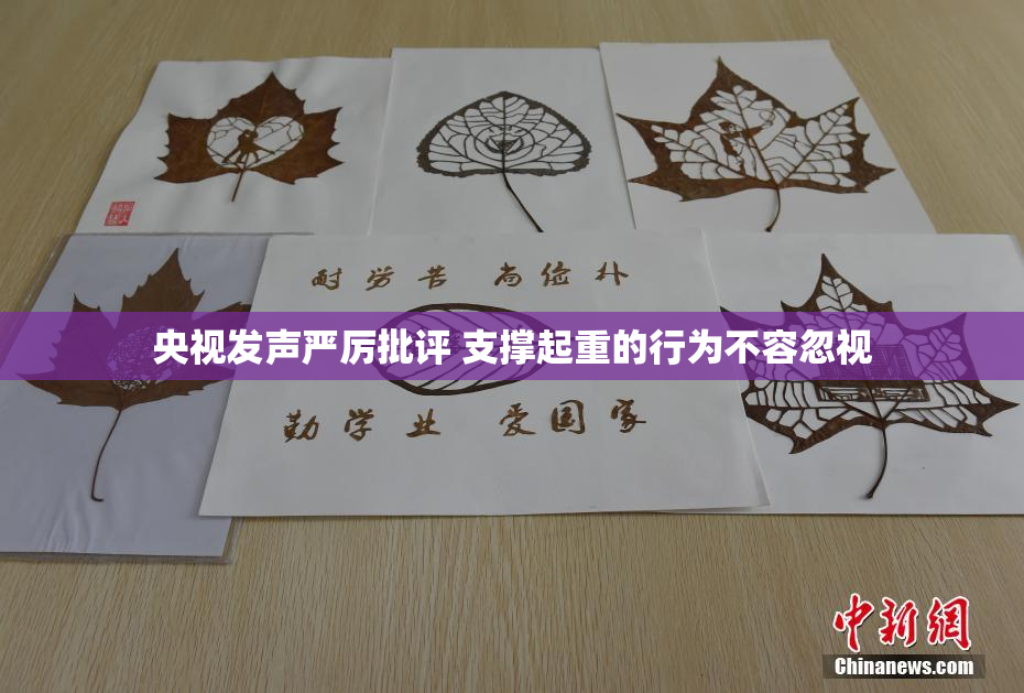 央视发声严厉批评 支撑起重的行为不容忽视